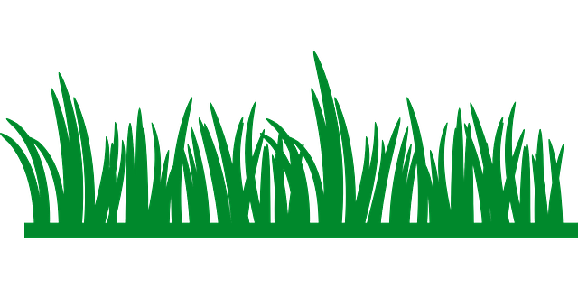 lawn-and-plant-640x480-20382270.png