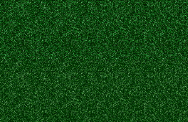 Lawn and Plant