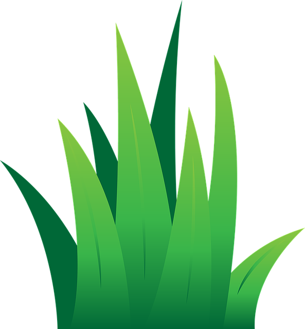 lawn-and-plant-640x480-25262115.png
