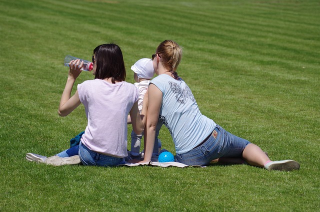 lawn-and-plant-640x480-29301990.jpeg