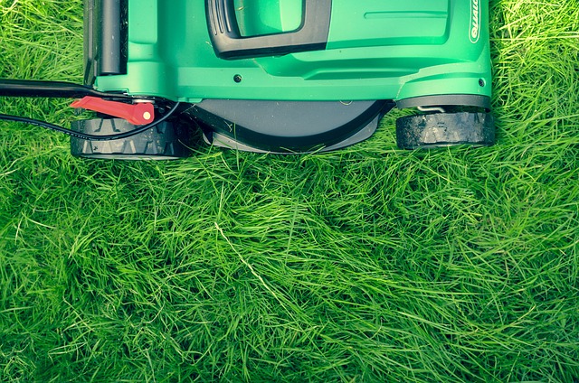 lawn-and-plant-640x480-30483325.jpeg