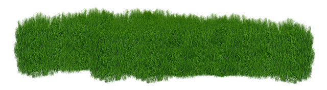 Lawn and Plant