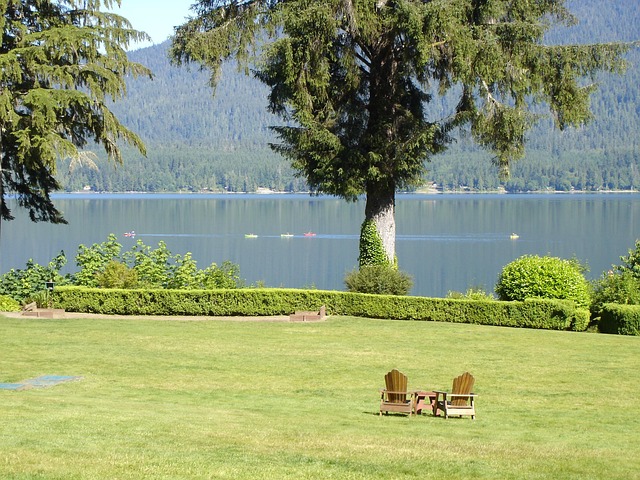 lawn-and-plant-640x480-39678909.jpeg
