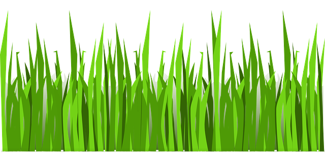 lawn-and-plant-640x480-53442245.png