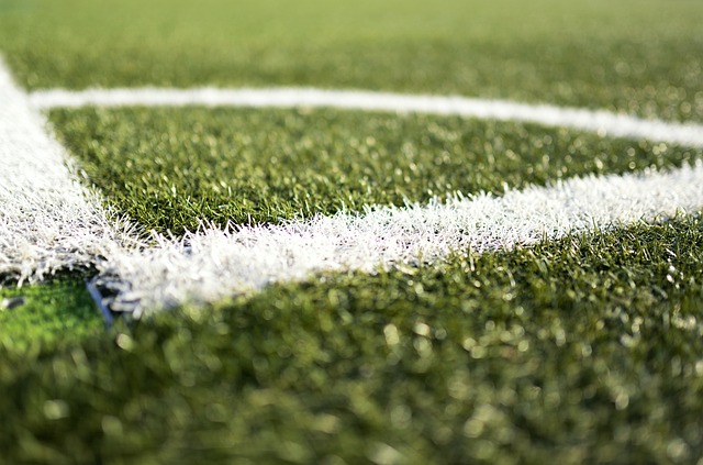 lawn-and-plant-640x480-53948353.jpeg