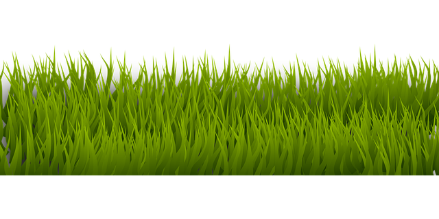 lawn-and-plant-640x480-61950587.png