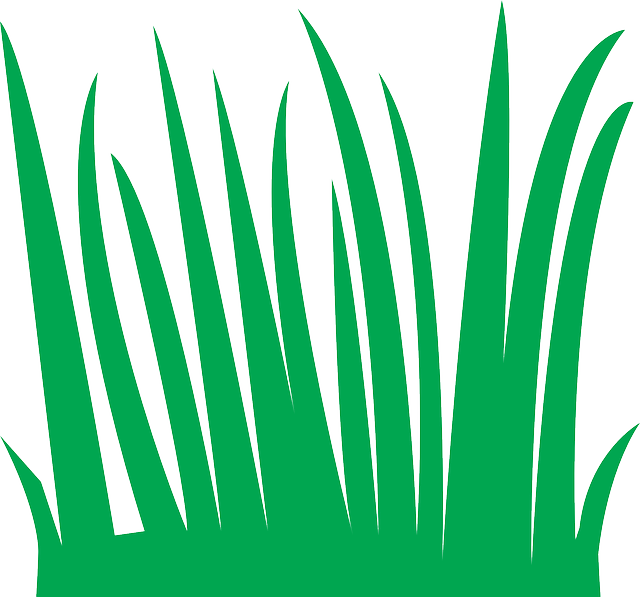 lawn-and-plant-640x480-63672400.png