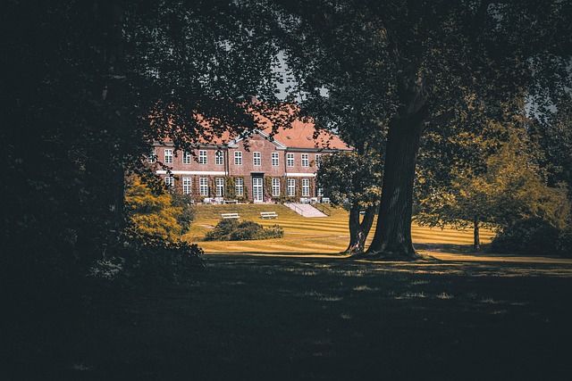lawn-and-plant-640x480-66390886.jpeg