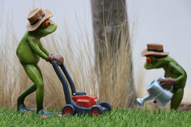 Lawn and Plant