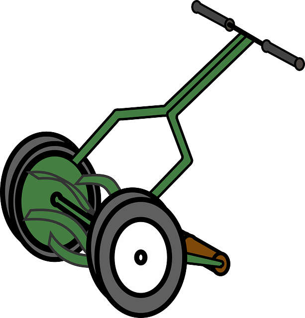 lawn-and-plant-640x480-69205795.png