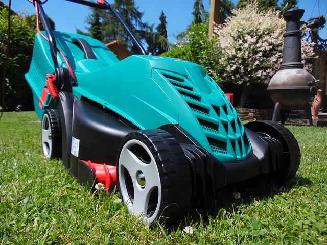 lawn-and-plant-640x480-69532303.jpeg