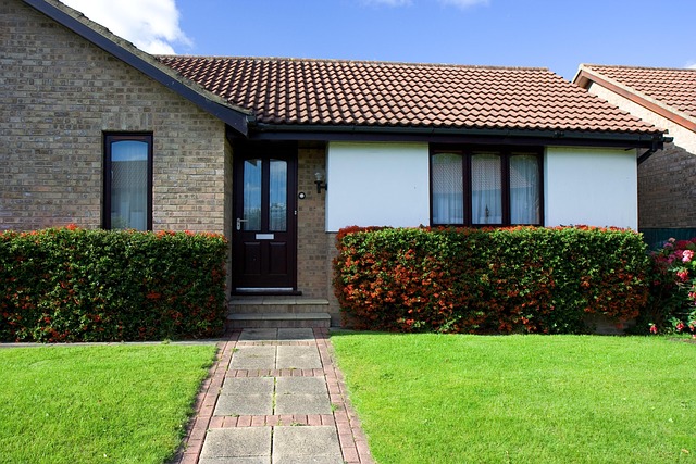Lawn and Plant