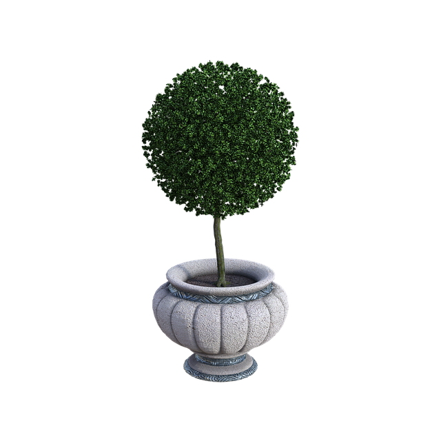 lawn-and-plant-640x480-71615750.png