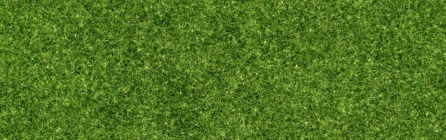 Lawn and Plant
