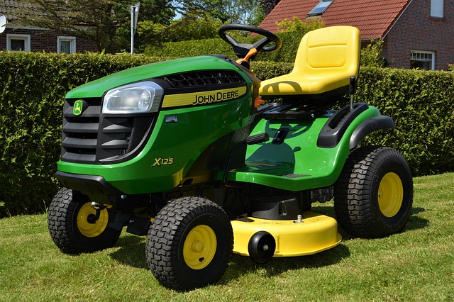 lawn-and-plant-640x480-73092584.jpeg