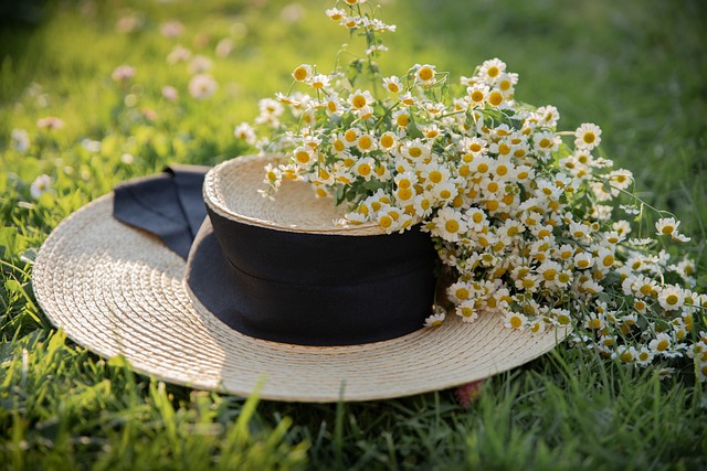 Lawn and Plant