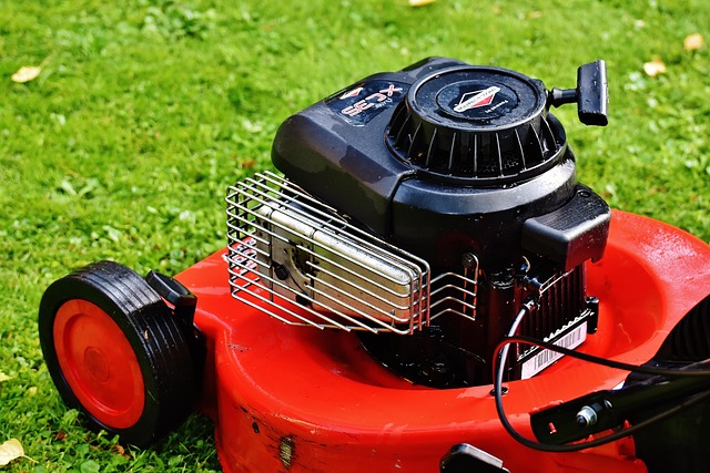 lawn-and-plant-640x480-81814789.jpeg