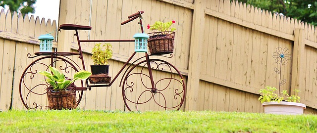 Lawn and Plant