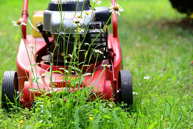 lawn-and-plant-640x480-83490117.jpeg
