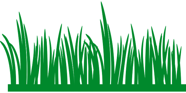 lawn-and-plant-640x480-84308792.png