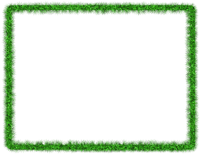 Lawn and Plant