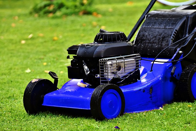lawn-and-plant-640x480-89734800.jpeg