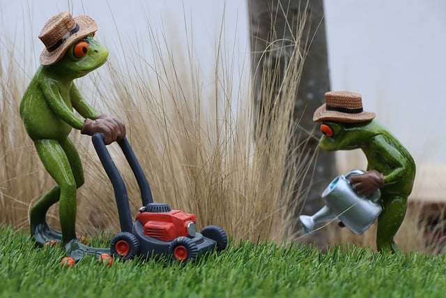 lawn-and-plant-640x480-91423404.jpeg