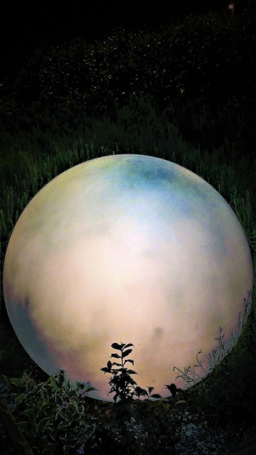 lawn-and-plant-640x480-91518973.jpeg