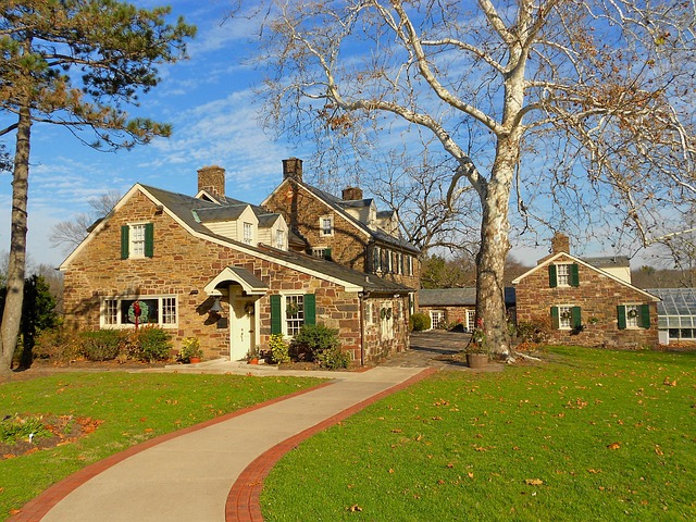 Lawn and Plant