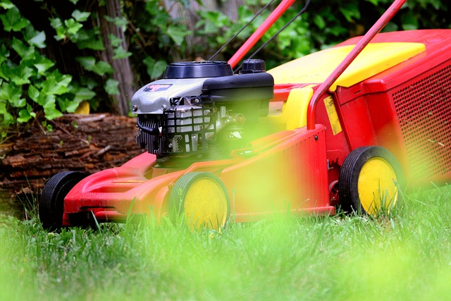 Lawn and Plant