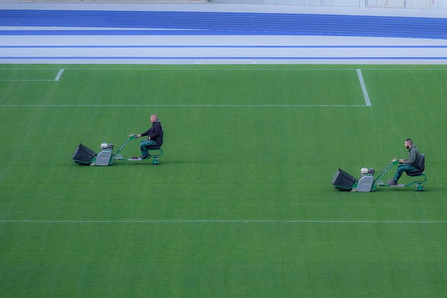 Lawn and Plant