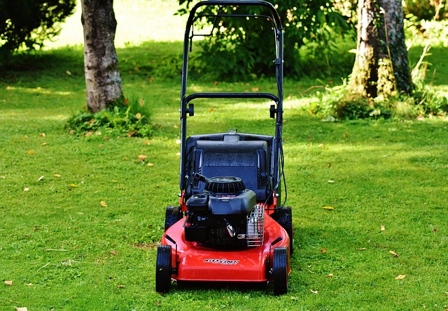 lawn-and-plant-640x480-99246447.jpeg