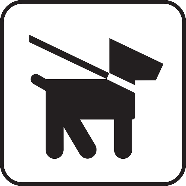 lead-testing-640x480-15648977.png