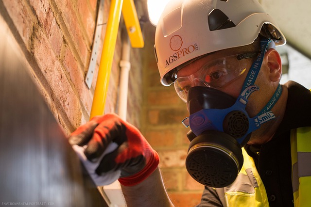 Mold Inspection