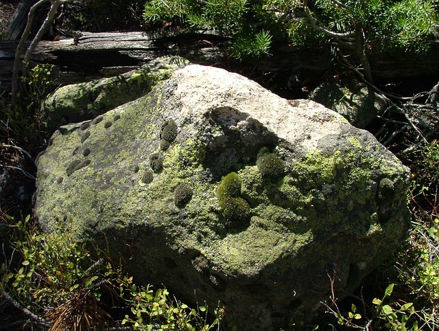 mold-inspection-640x480-40100421.jpeg