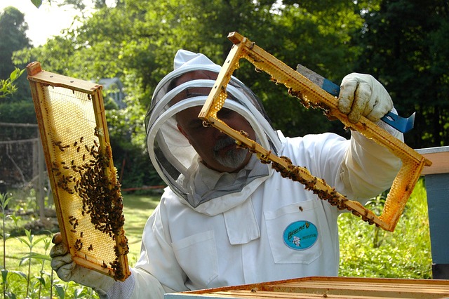 mold-inspection-640x480-71137763.jpeg