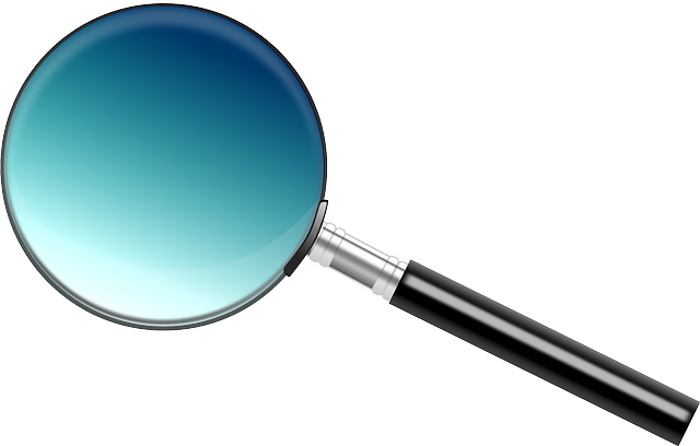 Mold Inspection