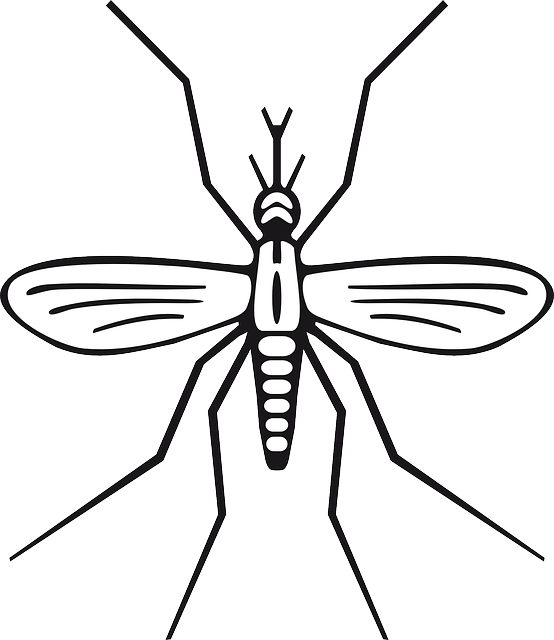 Pest Control