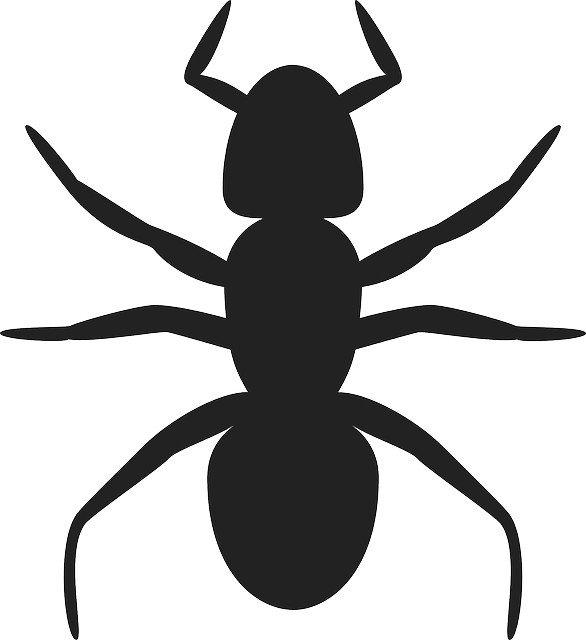 Pest Control