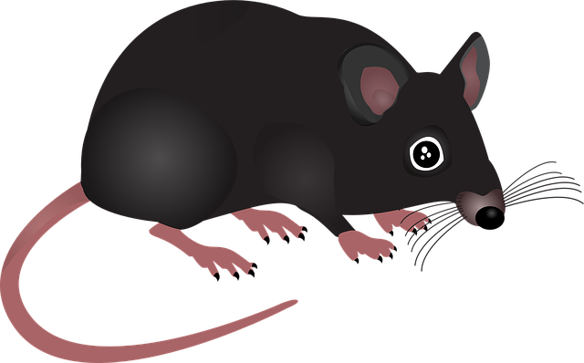 Pest Control