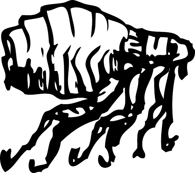 pest-control-640x480-36712063.png