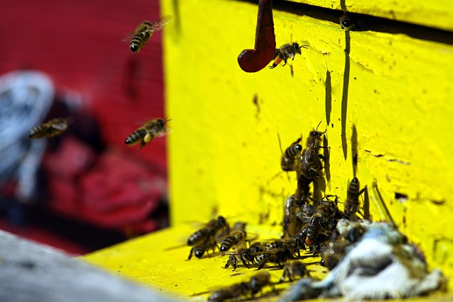 pest-control-640x480-48964732.jpeg
