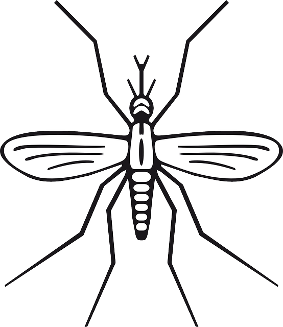 pest-control-640x480-5481804.png