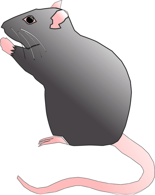 Pest Control