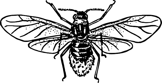 Pest Control