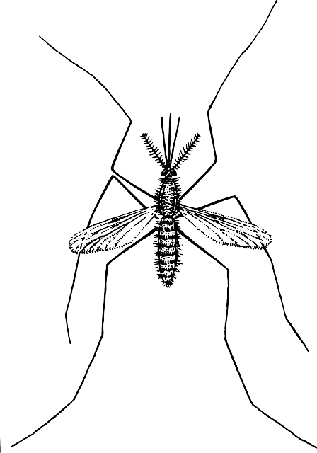 pest-control-640x480-70625215.png