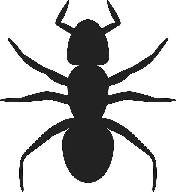 pest-control-640x480-71765355.png
