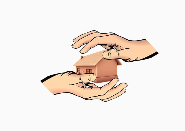 Property Insurance
