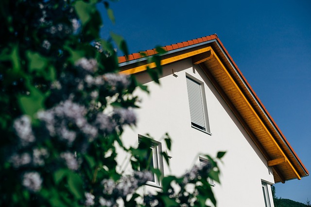 Property Insurance