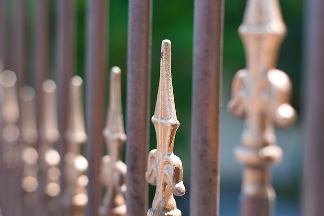 Property Insurance